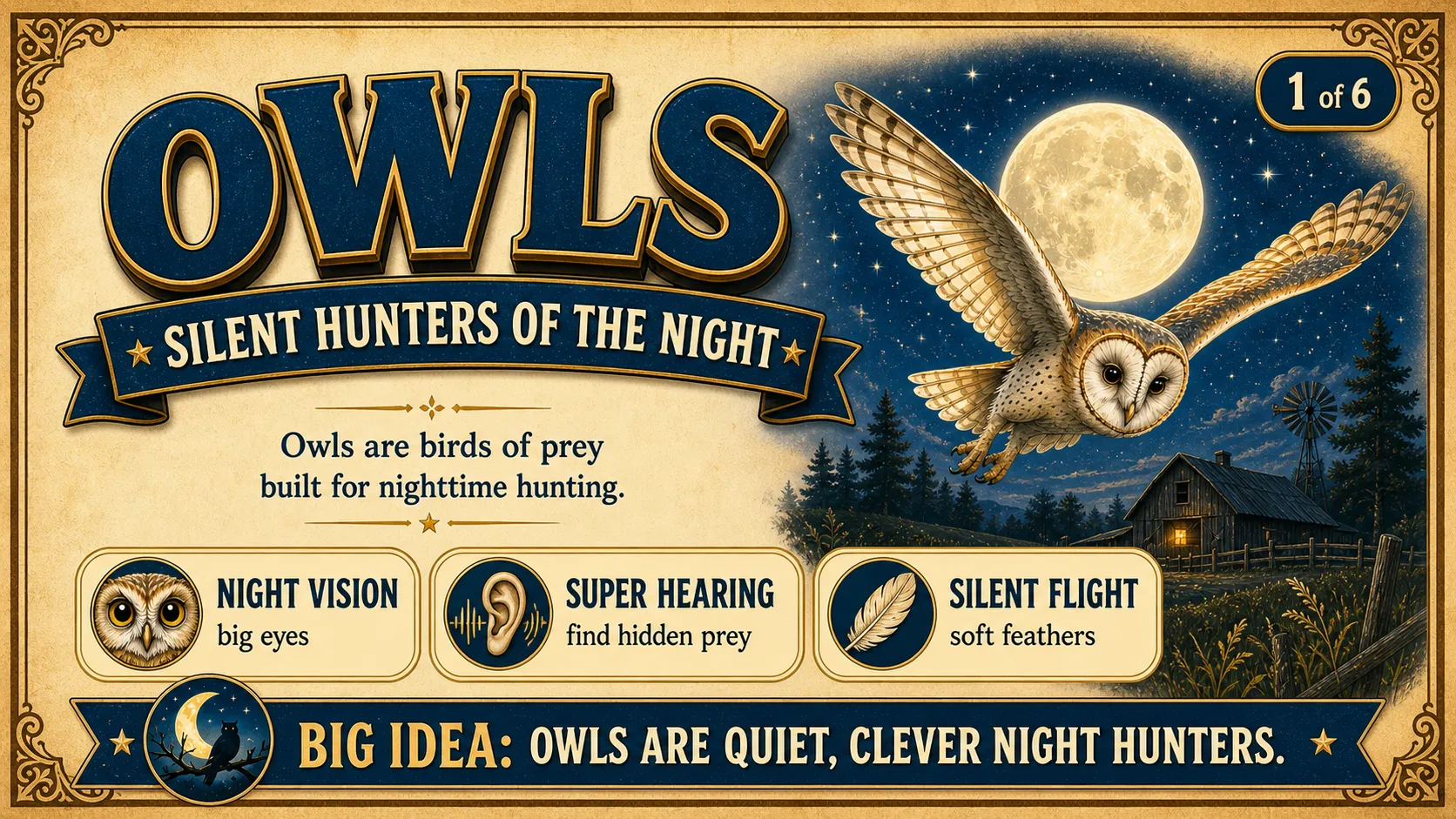 Owls: Silent Hunters of the Night carousel slide 1